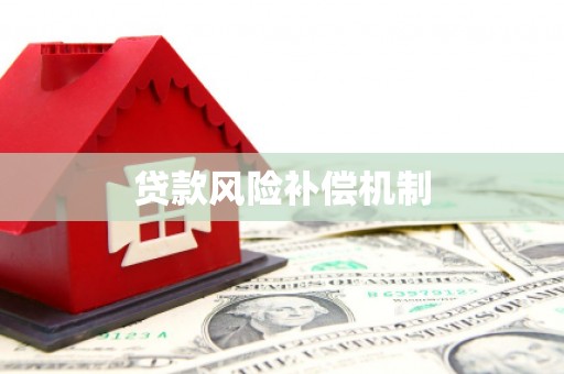 元朗贷款风险补偿机制
