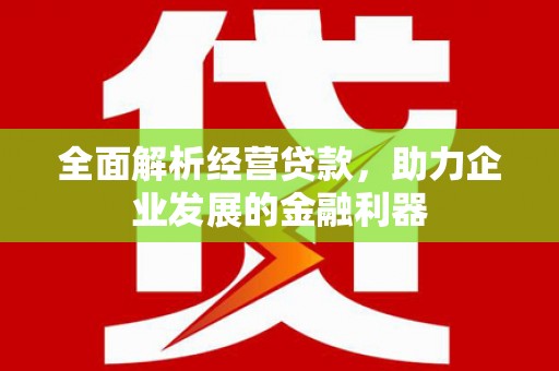 元朗全面解析经营贷款，助力企业发展的金融利器
