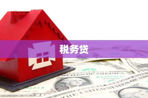 元朗税务贷