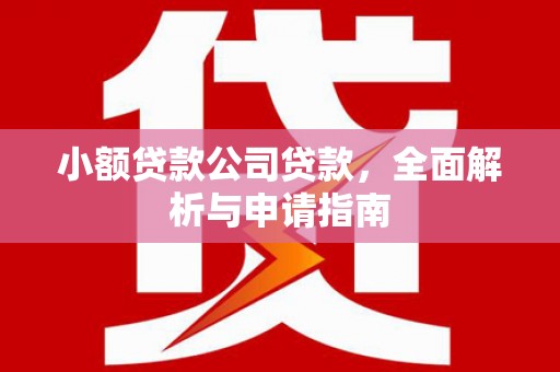 元朗小额贷款公司贷款，全面解析与申请指南