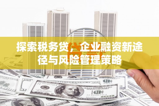 元朗探索税务贷，企业融资新途径与风险管理策略