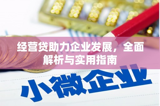 元朗经营贷助力企业发展，全面解析与实用指南
