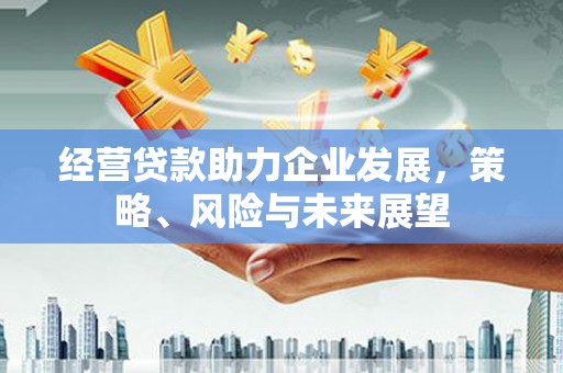 元朗经营贷款助力企业发展，策略、风险与未来展望