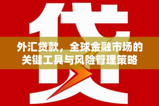 元朗外汇贷款，全球金融市场的关键工具与风险管理策略