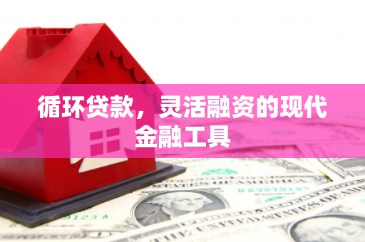 元朗循环贷款，灵活融资的现代金融工具