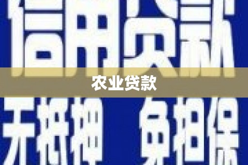 元朗农业贷款