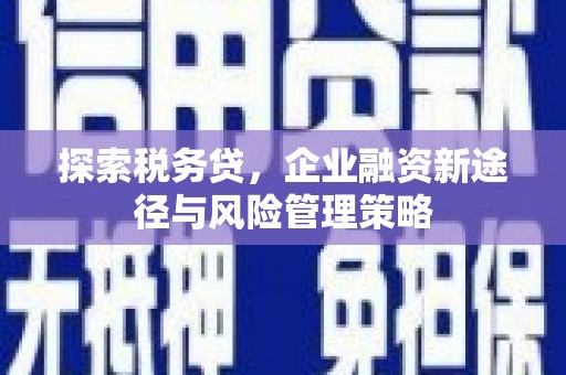 元朗探索税务贷，企业融资新途径与风险管理策略