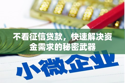 元朗不看征信贷款，快速解决资金需求的秘密武器