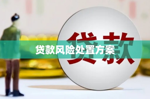 元朗贷款风险处置方案
