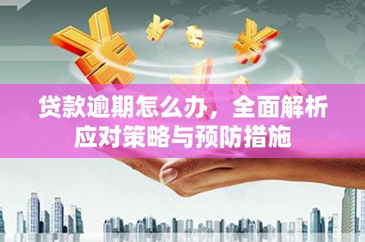 元朗贷款逾期怎么办，全面解析应对策略与预防措施