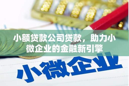 元朗小额贷款公司贷款，助力小微企业的金融新引擎