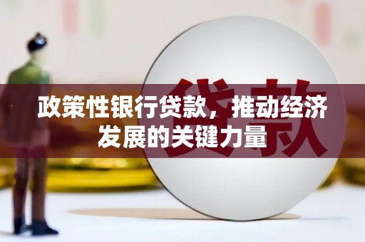 元朗政策性银行贷款，推动经济发展的关键力量