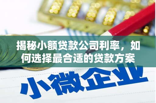 元朗揭秘小额贷款公司利率，如何选择最合适的贷款方案