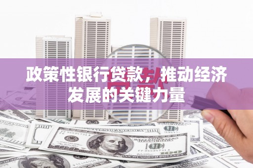 元朗政策性银行贷款，推动经济发展的关键力量