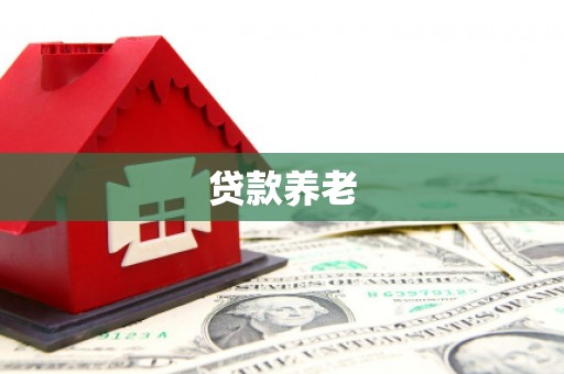 元朗贷款养老