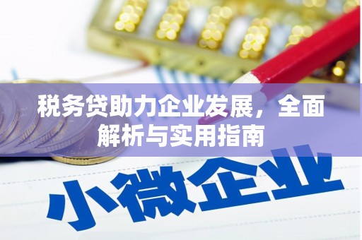 元朗税务贷助力企业发展，全面解析与实用指南