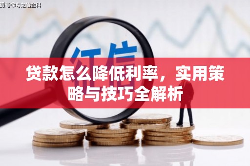 元朗贷款怎么降低利率，实用策略与技巧全解析