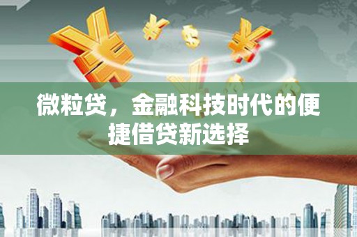 元朗微粒贷，金融科技时代的便捷借贷新选择