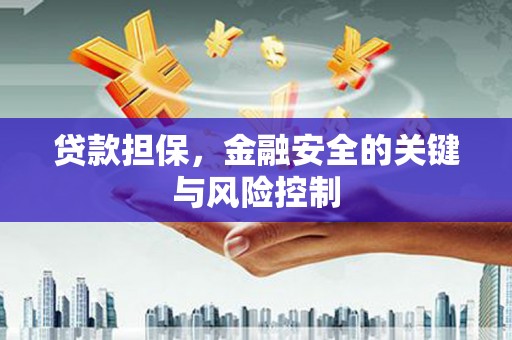 元朗贷款担保，金融安全的关键与风险控制