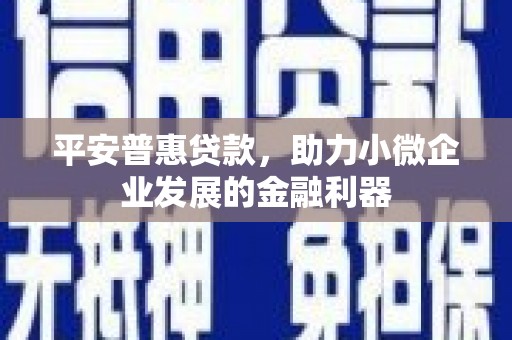 元朗平安普惠贷款，助力小微企业发展的金融利器