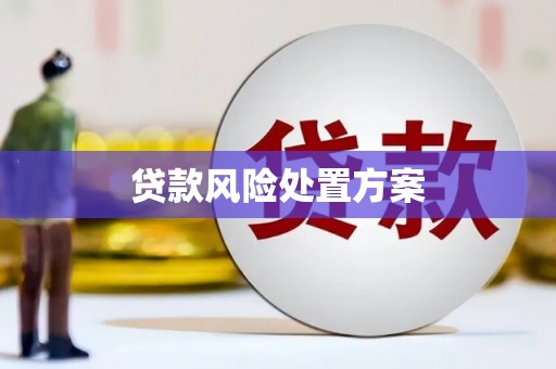 元朗贷款风险处置方案