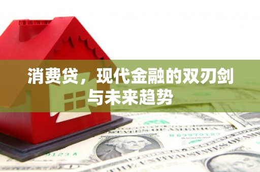 元朗消费贷，现代金融的双刃剑与未来趋势