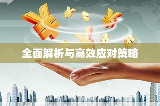 元朗全面解析与高效应对策略