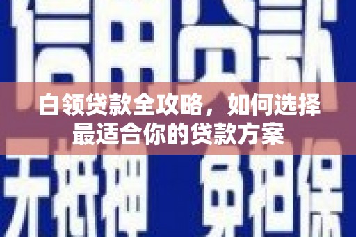 元朗白领贷款全攻略，如何选择最适合你的贷款方案